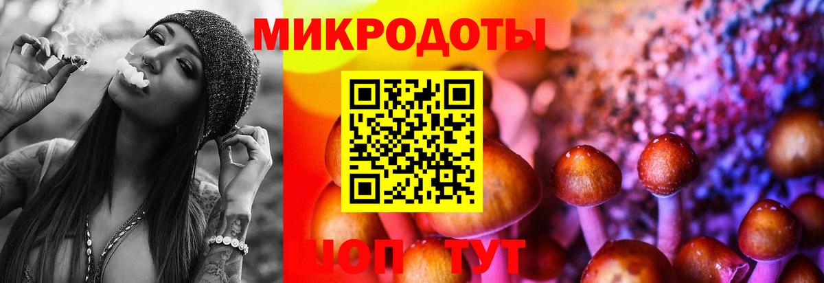Псилоцибиновые грибы мицелий  Вход с VPN  Керчь 